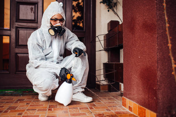 Reliable Mosquito Control contractor in Clearfield, UT by Show Me Pest Control